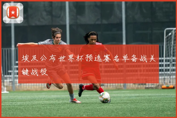 埃及公布世界杯预选赛名单备战关键战役