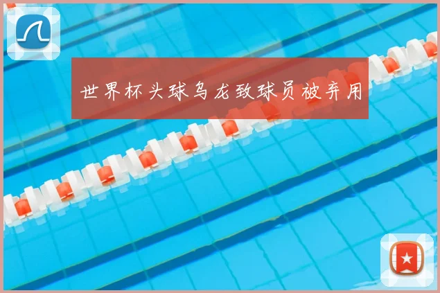世界杯头球乌龙致球员被弃用