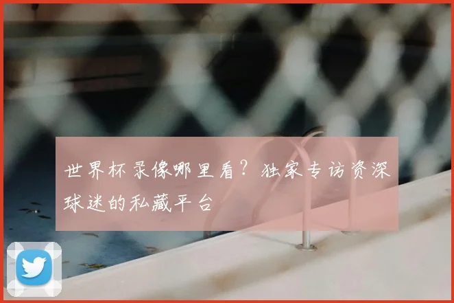 世界杯录像哪里看？独家专访资深球迷的私藏平台