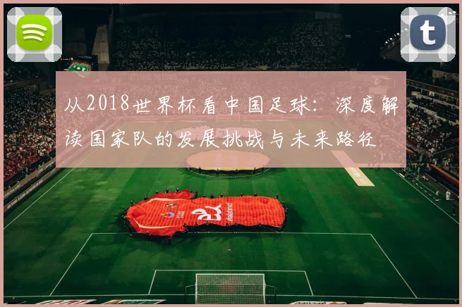 从2018世界杯看中国足球：深度解读国家队的发展挑战与未来路径