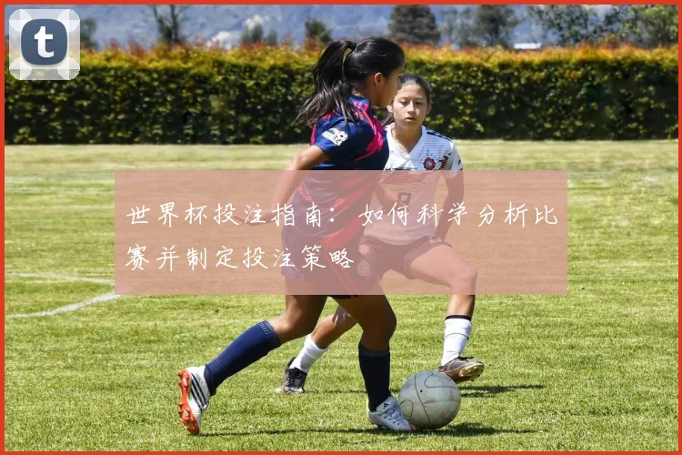 世界杯投注指南:如何科学分析比赛并制定投注策略