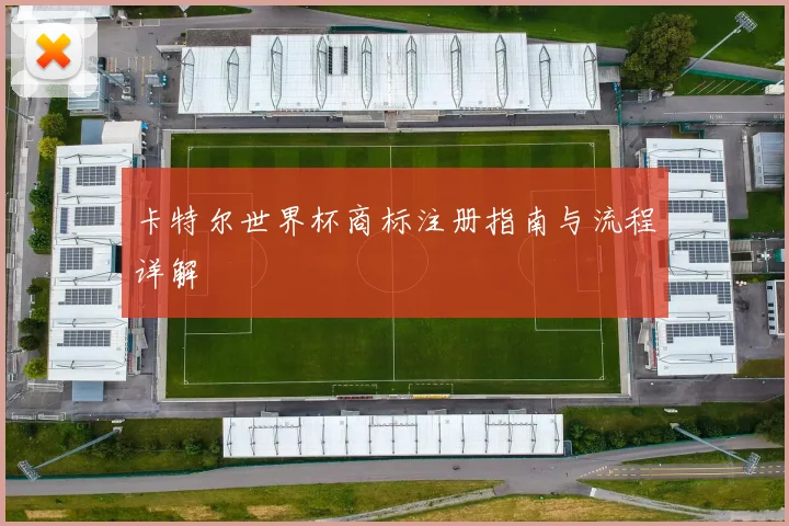 卡特尔世界杯商标注册指南与流程详解