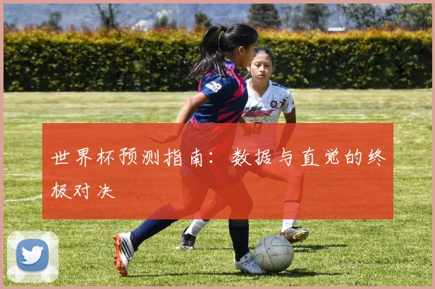 世界杯预测指南:数据与直觉的终极对决