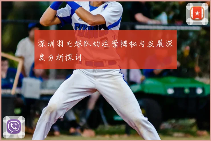 深圳羽毛球队的运营揭秘与发展深度分析探讨