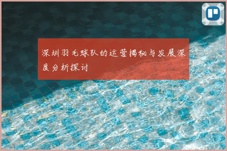 深圳羽毛球队的运营揭秘与发展深度分析探讨