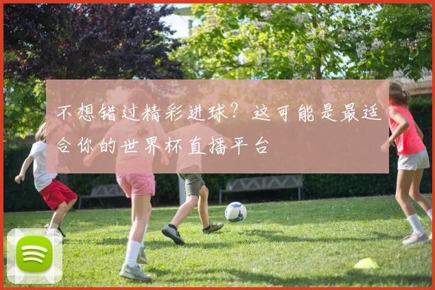 不想错过精彩进球？这可能是最适合你的世界杯直播平台
