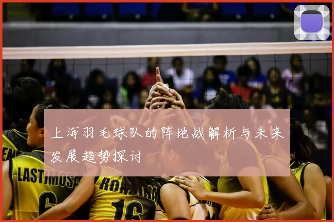 上海羽毛球队的阵地战解析与未来发展趋势探讨