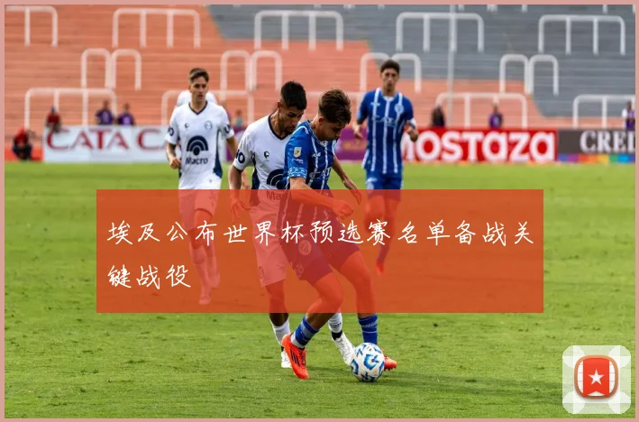 埃及公布世界杯预选赛名单备战关键战役