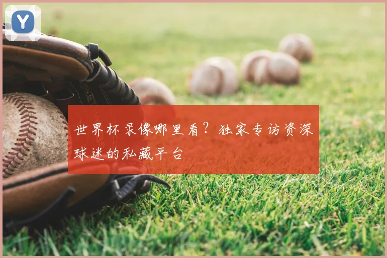 世界杯录像哪里看？独家专访资深球迷的私藏平台
