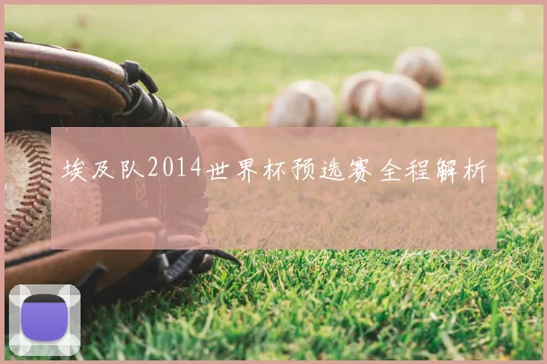 埃及队2014世界杯预选赛全程解析