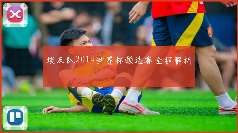 埃及队2014世界杯预选赛全程解析