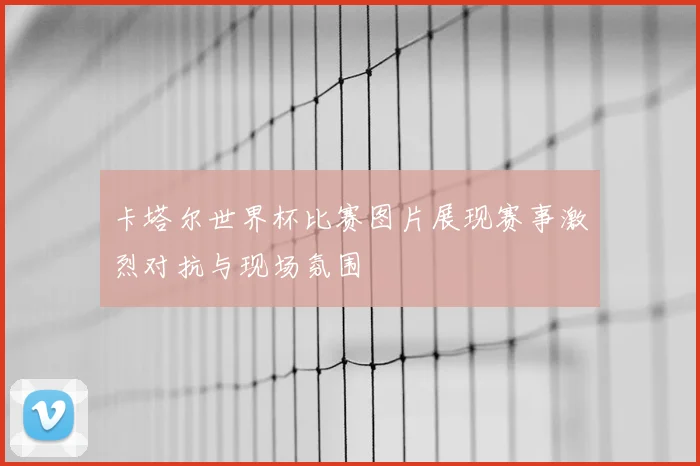 卡塔尔世界杯比赛图片展现赛事激烈对抗与现场氛围